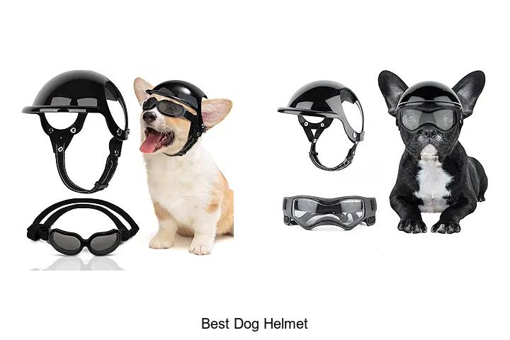 Top 12 Best Dog Helmet That Will Protect Your Pup Best