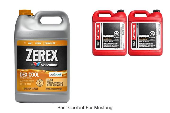 Top 12 Best Coolant For Mustang That Will Blow Your Mind